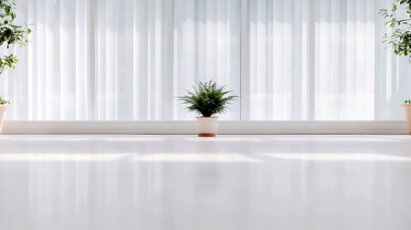 Plant in front of white curtains Light reflecting off shiny white floor Minimalist aesthetic soft...