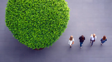 Four figures walk away from a huge green bush on a grey paved surface Overhead shot of the scene.