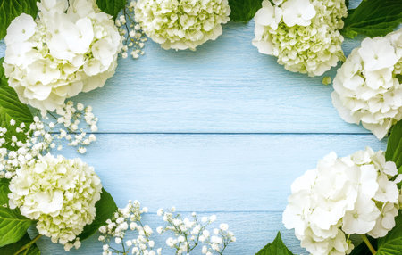 Floral frame of white hydrangeas and baby's breath on a light blue wooden background Fresh spring theme.の写真素材