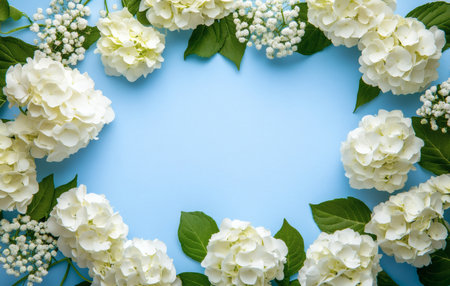 Floral frame of white hydrangeas and baby's breath on a light blue background Elegant and inviting design.の写真素材