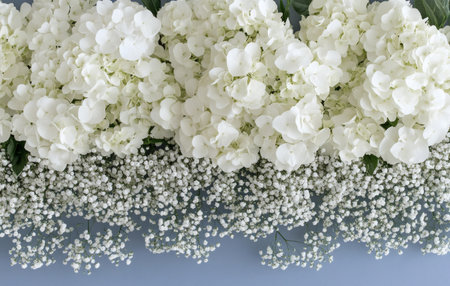 Delicate white blooms of hydrangea and tiny flowers create an elegant floral arrangement on a soft...