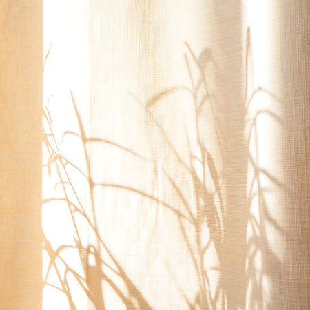 Silhouette of grass on a white curtain background. Copy space.の写真素材