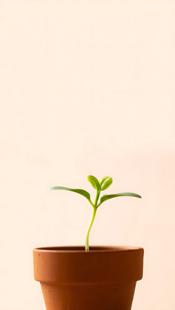 Green seedling in a pot on a beige background, selective focus