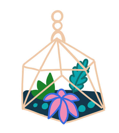 Succulent in glass flower pot. Florarium illustrationのイラスト素材