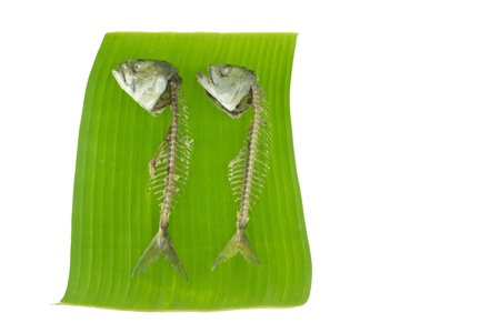 Fishbone pair on banana leaf の写真素材