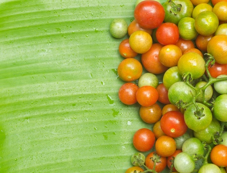 Tomatoes on a banana leaf の写真素材