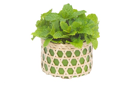 Peppermint in basket isolated on white background