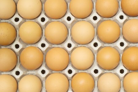 eggs in the package isolated on white background    の写真素材