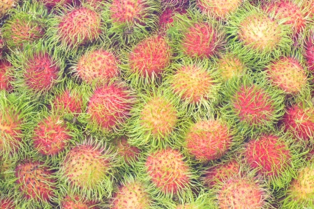 Rambutan  background