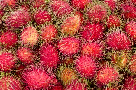 Rambutan  backgroundの写真素材