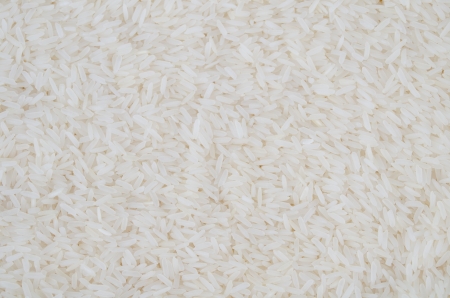 Thai jasmine rice backgroundの写真素材