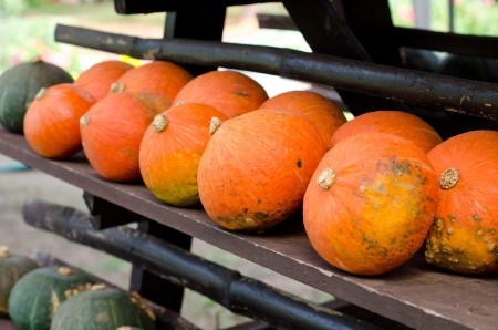 Pumpkins for saleの写真素材