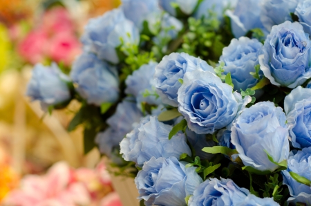 fabric Rosesの写真素材