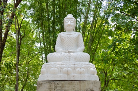 White Buddha statue in bamboo gardenの写真素材