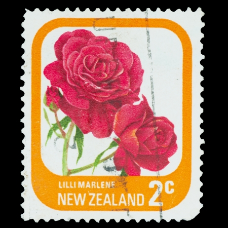 NEW ZEALAND - CIRCA 1975  A stamp printed in New Zealand , shows the rose varieties  Lilli Marleneâ, circa 1975のeditorial素材