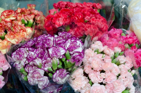 colorful flowers at the flower market in Bangkok , Thailandの写真素材