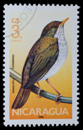 NICARAGUA - CIRCA 1986  A stamp printed in Nicaragua shows Paraulata Picodorado from the series  Birds , circa 1986のeditorial素材