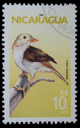 NICARAGUA - CIRCA 1986  A stamp printed in Nicaragua shows Tordo Ruisenor from the series  Birds , circa 1986のeditorial素材