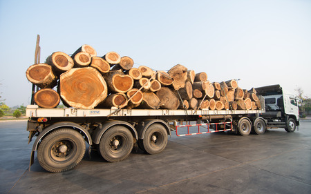 à¹à¸¡à¹ Loei  March 02: This image show Large truck transporting wood 02, 2014 in Loei, Thailandのeditorial素材