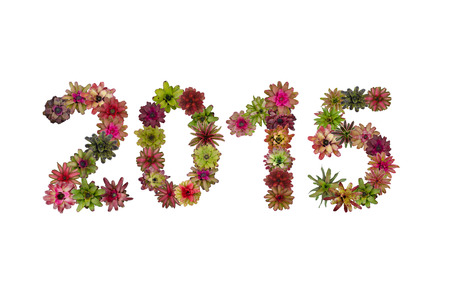 number 2015 made from cosmos flower