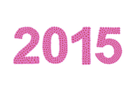 number 2015 made from cosmos flowerの写真素材