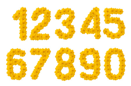 Numbers of  cosmos flowers  A setの写真素材