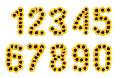 Numbers of sun flowers. A setの写真素材