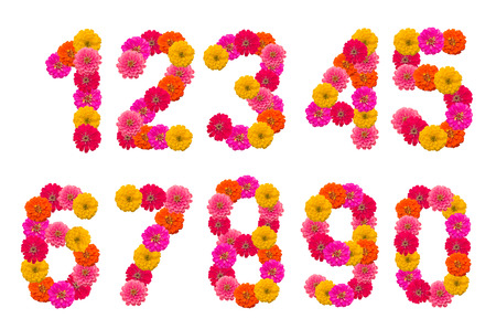 Numbers of  Zinnias flowers  A set