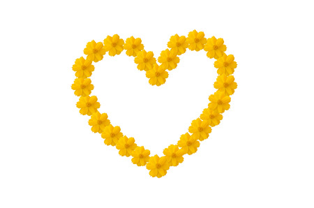 Cosmos heart Frameの写真素材