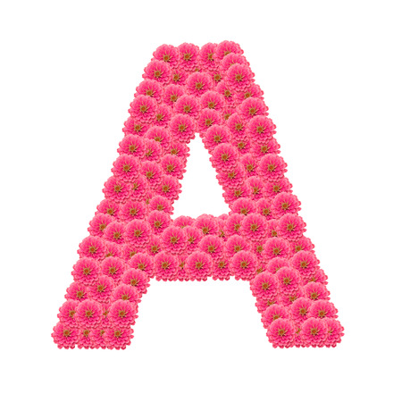 Zinnias flower letterの写真素材