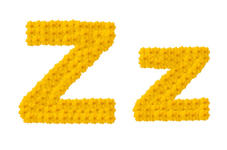 cosmos flower letterの写真素材