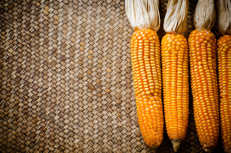 Corn dry on bamboo backgroundの写真素材