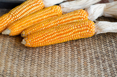 Corn dry on bamboo backgroundの写真素材