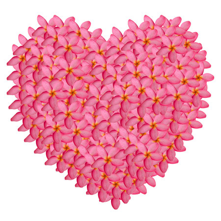 plumeria heart shape isolated on white backgroundの写真素材