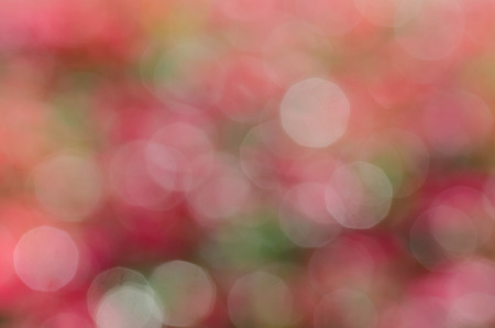 defocused bokeh lightsの写真素材