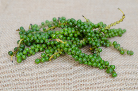 Fresh piper nigrum on  sackclothの写真素材