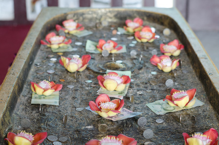 Salavan flower and Thai  money at Buddhakaya Chedi, Sangklaburi,  kanchanaburi, Thailandの写真素材