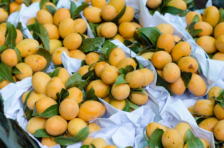 Plum Mango in local market, thailand