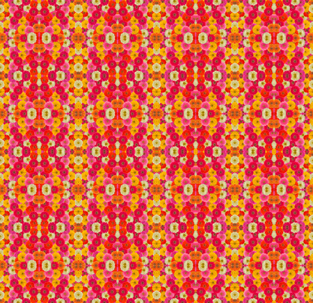 Zinnias flower seamless pattern background