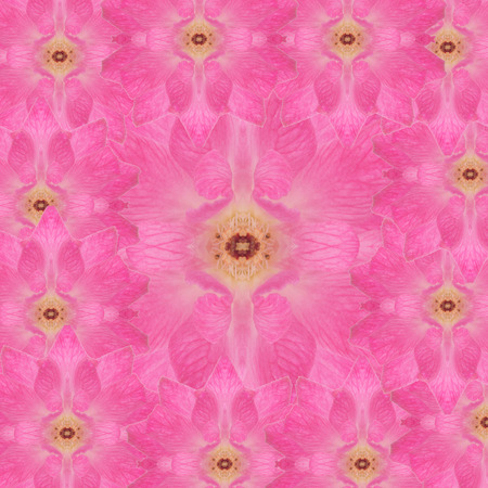 Damask rose seamless pattern  backgroundの写真素材