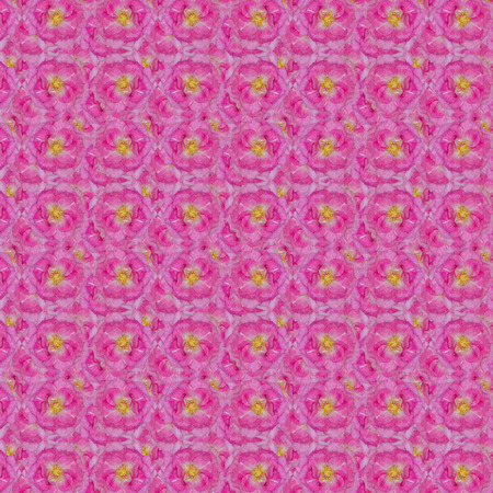 Pink rose seamless pattern background