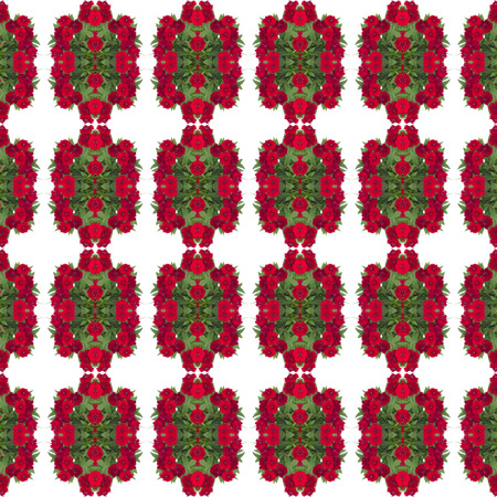 Dianthus flower seamless pattern background