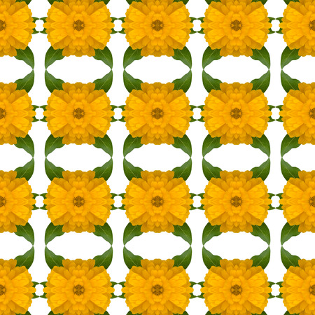 Zinnias flower seamless pattern backgroundの写真素材