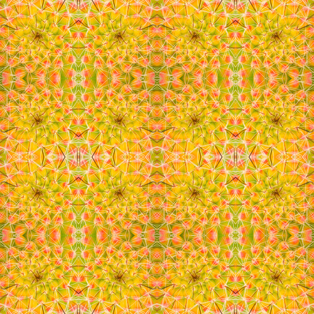 succulent plant seamless pattern background