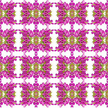 nobile orchid seamless pattern background