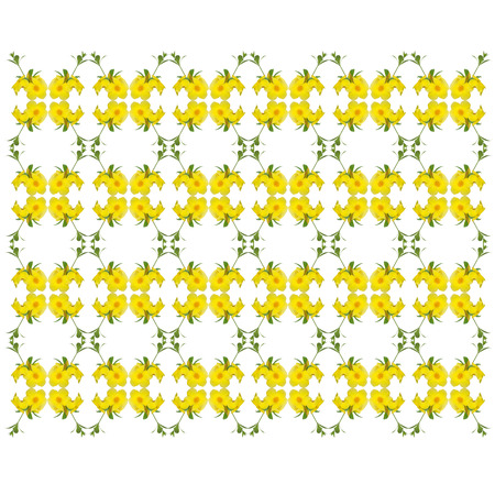 Allamanda cathartica seamless pattern backgroundの写真素材