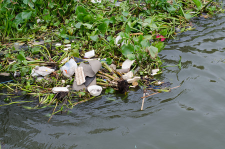 Bangkok ,Thailand-August ,1 : Garbage in the Chao Phraya River at Bangkok on August 1, 2015 . In Thailand a lot of people have no ecologic education and respect for the environment.のeditorial素材