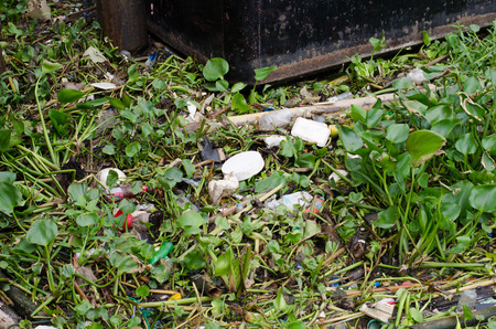 Bangkok ,Thailand-August ,1 : Garbage in the Chao Phraya River at Bangkok on August 1, 2015 . In Thailand a lot of people have no ecologic education and respect for the environment.のeditorial素材