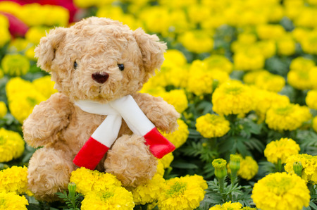 Teddy bear in flower garden