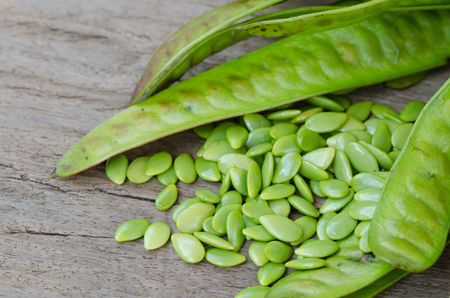 Green Seed White Popinac on wooden tableの写真素材